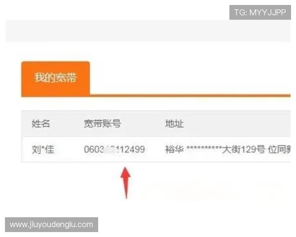 掌握ag备用官网全站登录技巧，轻松应对账号登录与密码找回